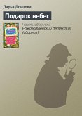 Подарок небес (eBook, ePUB)