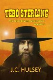 Tebo Sterling - The Texas Bounty Hunter Series (eBook, ePUB)