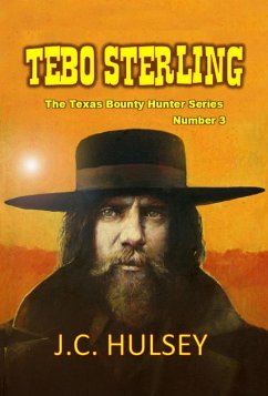 Tebo Sterling - The Texas Bounty Hunter Series (eBook, ePUB) - Hulsey, J. C.