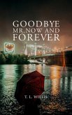 Goodbye Mr. Now and Forever (eBook, ePUB)