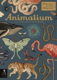 Animalium (eBook, ePUB)
