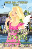 Practically Angels (Angel Bay Mysteries, #1) (eBook, ePUB)