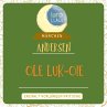 Ole Luk-Oie (MP3-Download) - Bild 1