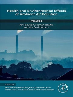 Cover Health and Environmental Effects of Ambient Air Pollution (eBook, ePUB)