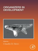 Organizers in Development (eBook, ePUB)