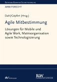 Agile Mitbestimmung (eBook, PDF)