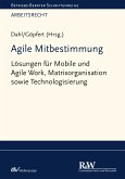 Agile Mitbestimmung (eBook, ePUB)