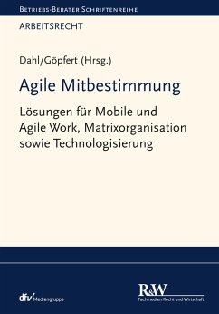 Agile Mitbestimmung (eBook, ePUB)