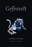 Wieder in Ketten (eBook, ePUB)
