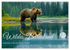 Wildes Bärenland (Wandkalender 2025 DIN A2 quer), CALVENDO Monatskalender