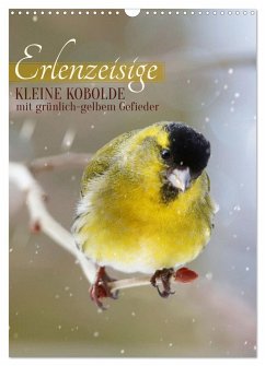 Erlenzeisige, kleine Kobolde (Wandkalender 2025 DIN A3 hoch), CALVENDO Monatskalender - Calvendo;Löwer, Sabine