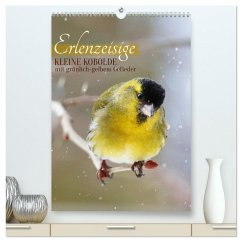 Erlenzeisige, kleine Kobolde (hochwertiger Premium Wandkalender 2025 DIN A2 hoch), Kunstdruck in Hochglanz