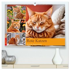 Rote Katzen (hochwertiger Premium Wandkalender 2025 DIN A2 quer), Kunstdruck in Hochglanz - Calvendo;Lehmann, Steffani