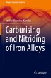 Carburising and Nitriding of Iron Alloys - Bild 1