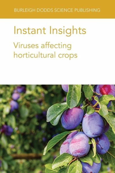 Instant Insights Instant Insights