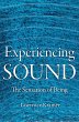 Experiencing Sound (eBook, ePUB) - Bild 1
