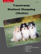 Traumrasse Shetland Sheepdog - Bild 1