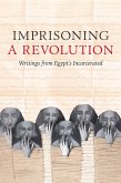 Imprisoning a Revolution (eBook, ePUB)