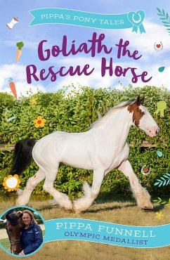 Goliath the Rescue Horse - Funnell, Pippa