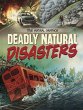 Deadly Natural Disasters - Bild 1
