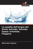 La qualità dell'acqua del fiume Salcedo, Salcedo, Samar orientale, Filippine