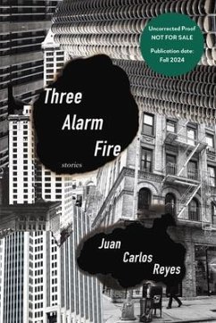 Three Alarm Fire (eBook, ePUB) - Reyes, Juan Carlos