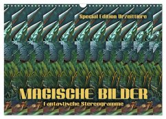 Magische Bilder - fantastische Stereogramme (Wandkalender 2025 DIN A3 quer), CALVENDO Monatskalender