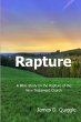Rapture - Bild 1