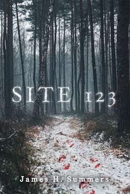 SITE 123 (eBook, ePUB) SITE 123 (eBook, ePUB)