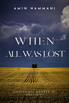 When All Was Lost (eBook, ePUB) - Hammani, Amin
