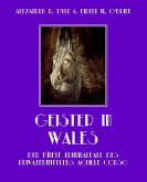 Geister in Wales (eBook, ePUB)