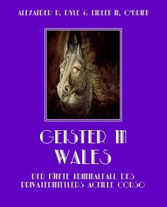 Cover Geister in Wales (eBook, ePUB)