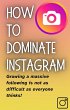 How To DOMINATE INSTAGRAM: Build a... - Bild 1