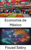 Economía de México (eBook, ePUB)