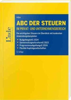 ABC der Steuern im Privat- und Unternehmensbereich - Hilber, Klaus