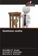 Gestione snella - Bild 1
