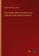 Breve estudio sobre la procidencia y la... - Bild 1