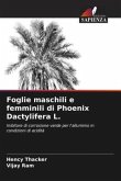 Foglie maschili e femminili di Phoenix Dactylifera L.