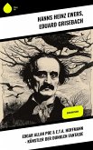 Edgar Allan Poe & E.T.A. Hoffmann - Künstler der dunklen Fantasie (eBook, ePUB)