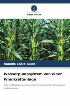 Wasserpumpsystem von einer Windkraftanlage - Aiuba, Hamido Chale