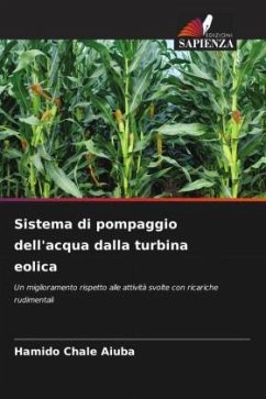 Sistema di pompaggio dell'acqua dalla turbina eolica - Aiuba, Hamido Chale