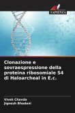 Clonazione e sovraespressione della proteina ribosomiale S4 di Haloarcheal in E.c.