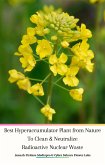 Best Hyperaccumulator Plant from Nature To Clean & Neutralize Radioactive Nuclear Waste (eBook, ePUB)