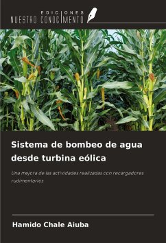Cover Sistema de bombeo de agua desde turbina eólica