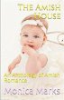 The Amish House - Bild 1