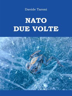 Nato Due Volte (eBook, ePUB) - Taroni, Davide