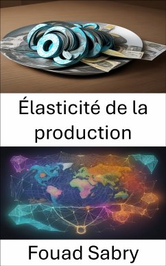 Élasticité de la production (eBook, ePUB) - Sabry, Fouad