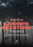 La chute de l'étoile