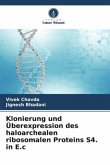 Klonierung und Überexpression des haloarchealen ribosomalen Proteins S4. in E.c