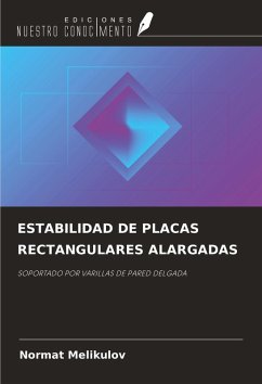 Cover ESTABILIDAD DE PLACAS RECTANGULARES ALARGADAS